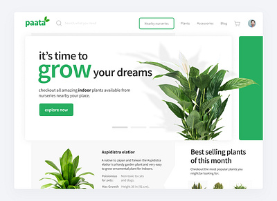 paata - a plants related online multi-vendor platform branding design ecommerce figma logo plants prototype storyboard ui ux vector website wireframe