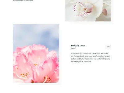 Landing page design with elementor landing page sales page squeeze page ui website design wordpress wordpress website