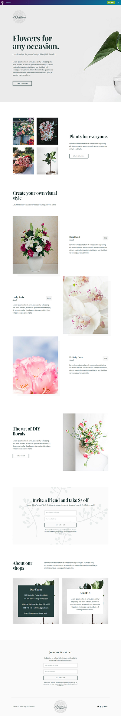 Landing page design with elementor landing page sales page squeeze page ui website design wordpress wordpress website