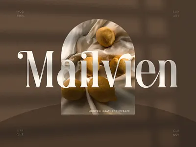 Mailvien - Modern Ligature Typeface calligraphy display font fonts ligature logo font luxury font modern font sans serif serif typeface typography wedding font
