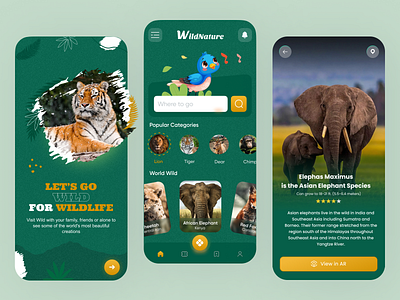 WildLife App Concept app design minimal ui ux wild