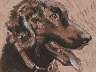 curved coated retriever [digital sketch] digital dog drawing hound sketch speed paint