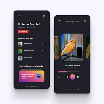 Love Bird Mastering Music App app mobile app ui ui design uiux