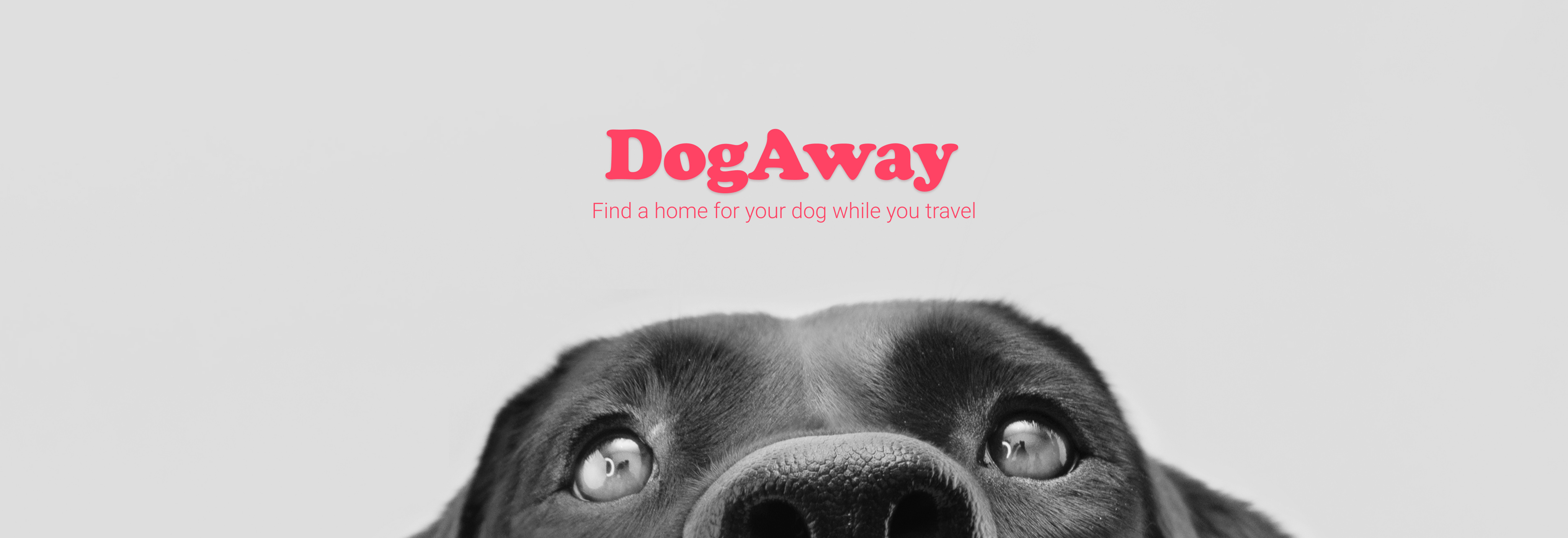 Example of DogAway - Digital product design project