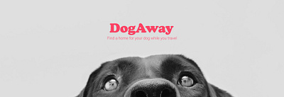 DogAway - Digital product design project branding case study design digital product dog dog boarding product design ui ui design user experience ux ux design visual design