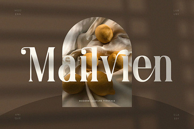 Mailvien - Modern Ligature Typeface advertising branding classy display display font elegant fashion fonts lettering logo luxury magazine minimalist modern sans serif serif stylish typeface typography unique