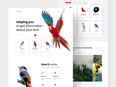 Permanukan - Pets Landing Page Eksploration after effects animal conservation animals animation bird branding graphic design header interaction landing page pets ui ui design uiux web design website