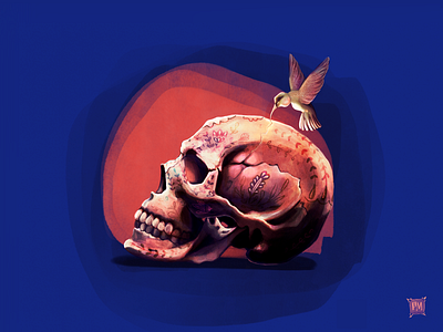 gospel of nature beautiful bird blue circle death design digital art digital illustration graphic design illustration life meaning nature pattern procreate procreate illustration skull ui