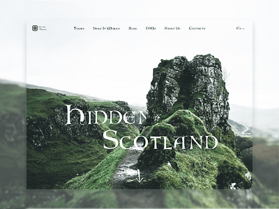 Travel Agency Web Design Concept agency celtic fonts nature scotland tour travel typography ui web