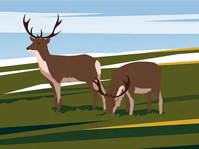 Reindeers arctic caribou deer editorial flat illustration nature prairie reindeer science sky vector