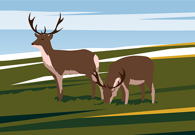 Reindeers arctic caribou deer editorial flat illustration nature prairie reindeer science sky vector