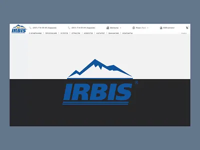 Irbis Ukraine animation branding logo ui web web design