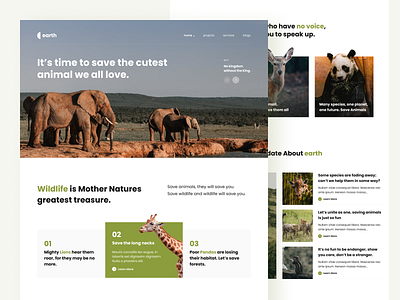 Earth - Save Wildlife Homepage animals landingpage minimal nature pets save animals save wildlife ui website design