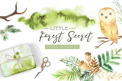 Watercolor Forest Graphic Set art forest illustrations watercolor