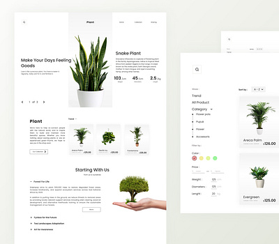 Plant UI Website - Exploration green nature plant plant sale site plant store store ui design ui designer ui website uiux user interface website website design