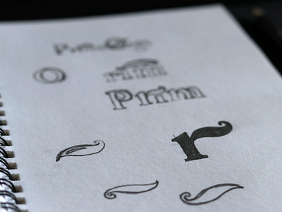 Organic spice brand logo exploration brand designer branding brandmark buzzin art designs graphic design logo logo book logo designer logo exploration logo sketches new zealand organic brand organic logo sketch book sketches spice brand spice logo sri lanka