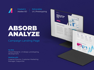 Absorb Analyze Landing Page Campaign design prototype ui