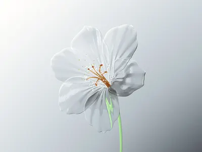 White Flower 3d art c4d cgi design direction illustration model octane