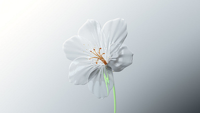 White Flower 3d art c4d cgi design direction illustration model octane