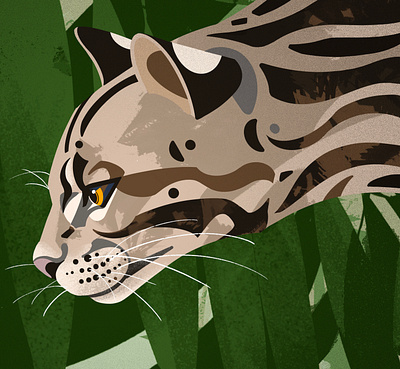 Ocelot branding design icon illustration packaging