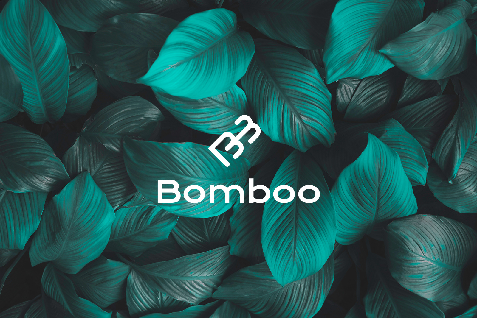 Example of Logo Design & Brand Identity