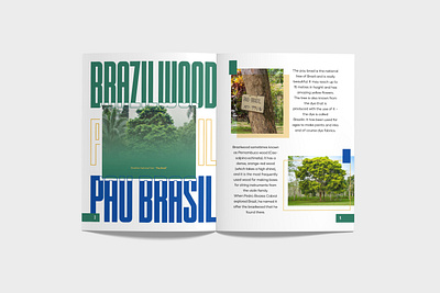 Magazine - Brazil or Brasil? Page 3-4 book design branding branding design brasil brazil brazil or brasil design graphic design illustration magazine magazine design magazine on brazil typo typography