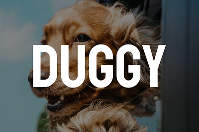 DUGGY - The dog walking app for busy professionals branding graphic design ui