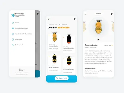 Mobile App for Bumblebee Exploration android app appdesign ar bumblebee clean ios app minimalist mobile app productdesign ui ux