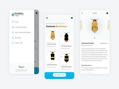 Mobile App for Bumblebee Exploration android app appdesign ar bumblebee clean ios app minimalist mobile app productdesign ui ux