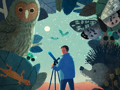 Sky at Night animals digital editorial folioart hifumiyo illustration texture wildlife