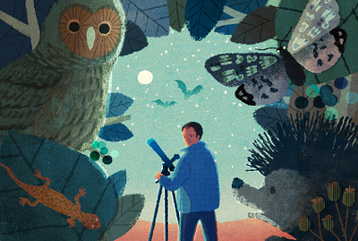 Sky at Night animals digital editorial folioart hifumiyo illustration texture wildlife