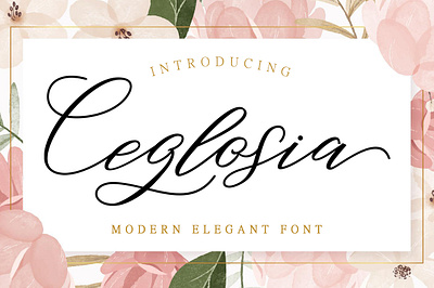 Ceglosia app branding brush design elegant flat font illustration logo ui