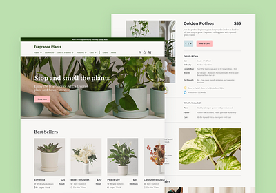 Plant store website concept design ui ux