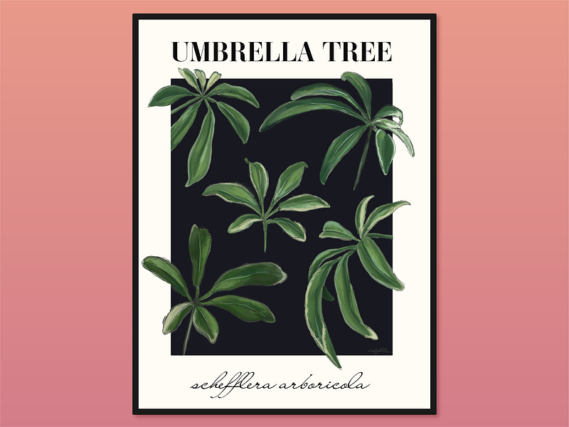 umbrella tree design art botanical design elegant fresh graphic graphic design hand drawn illustration illustrator layout luxury minimalist plant plants print serif typography