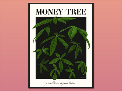 money tree illustration adobe botanical design elegant graphic design hand drawn illustration illustrator layout minimalist photoshop plant serif font typography