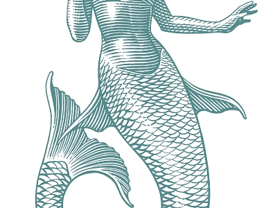 Mermaid branding engraving fantasy female fins mermaid packaging roger xavier scratchboard sea