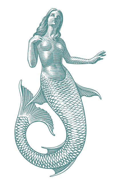 Mermaid branding engraving fantasy female fins mermaid packaging roger xavier scratchboard sea