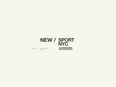 Landing NYC SPORT brand design branding design graphicdesign illustration layout logo typography ui vector