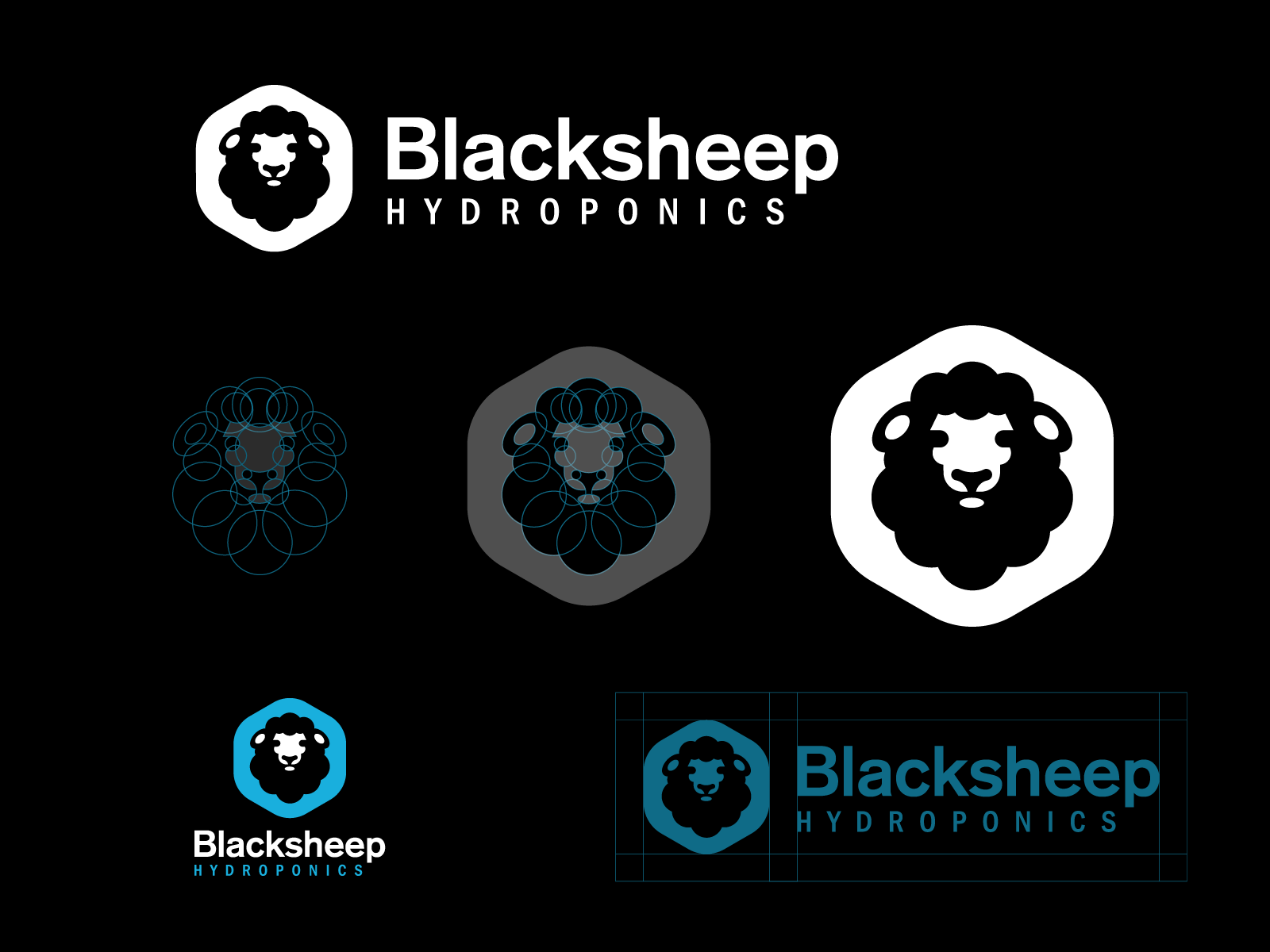Example of Exclusive Logo Design Package