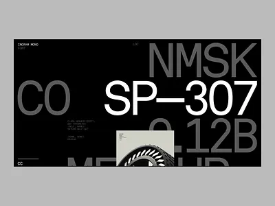 Space 307 animation bek st22 design landing motion graphics space307 transition typography ui website