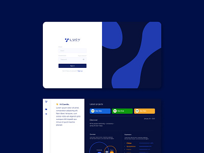 Lucy chart charts dark design log login minimal ui ux webdesign