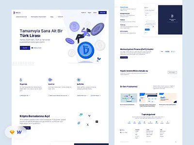 BiLira | Landing Page Design clean crypto design illustration landing stablecoin ui ux webflow website
