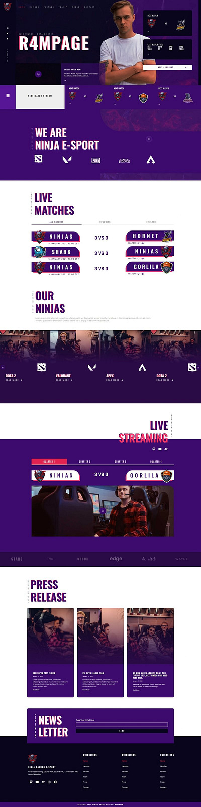 Ninja E-Sport Website Design esport ninja online videogame website