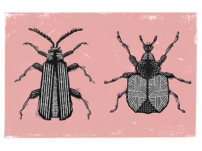 Linocut Insects beetle beetles brush brushes bug bugs insect insects lino lino cut linocut procreate