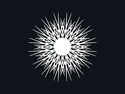 SUN black fractal illustration shape star sun symbol