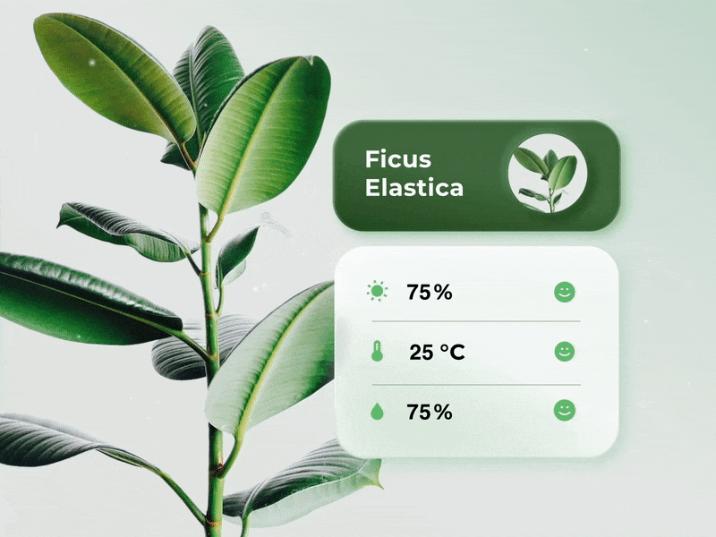 Plant sensor app animation green motion graphics plants sensor ui