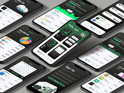 Budgeting App UI Design adobe xd app banking app budgeting budgeting app color design finance finance app typography ui ui design uidesign uiux