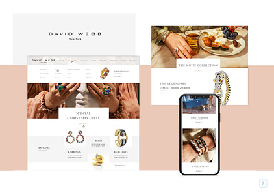 David Webb Website design graphic design ui ux web website