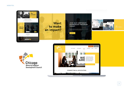 CMSDC Website Design branding graphic design ui web