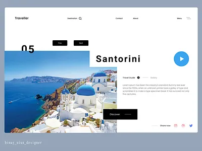 Traveller Web Concepts design icon illustrator ui ux web website
